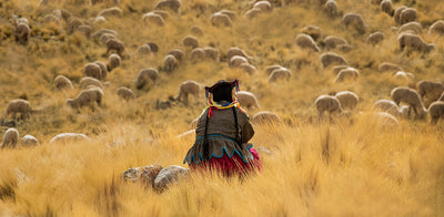 The warmth of the Andes