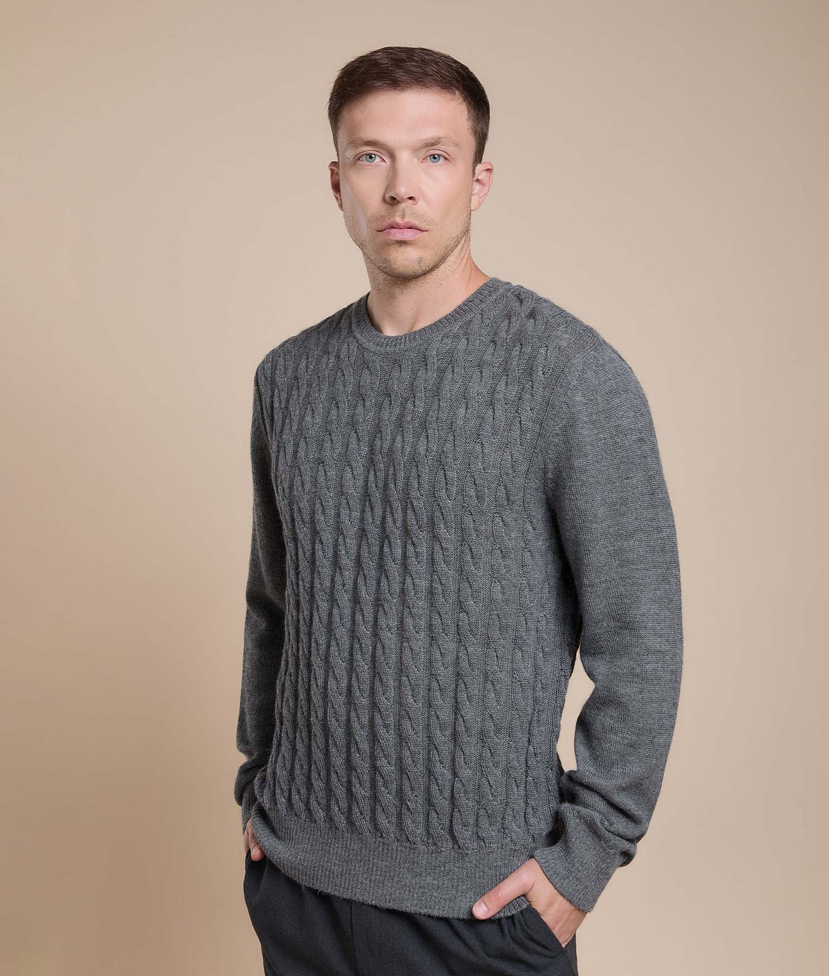 Men's Cable Knit Sweater